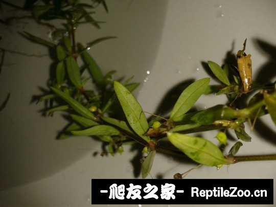 141302sm8cr8r9dvv9w97b.jpg