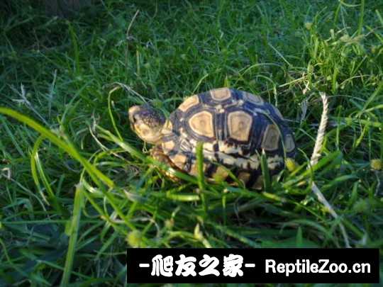 141422mr568lm8gms8mzgc.jpg