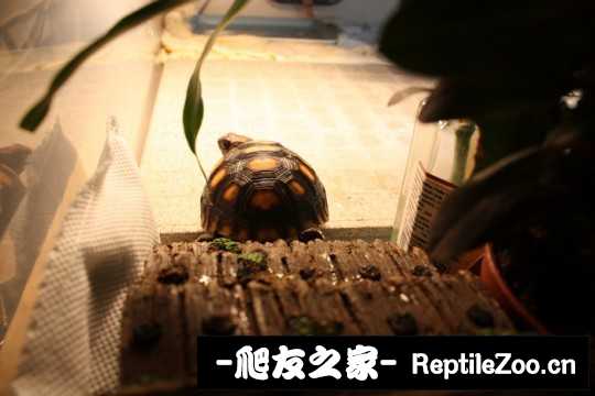 141916cbfmx7fi8hkbd8dy.jpg