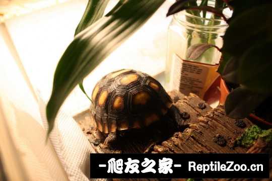141916u32alfhll3i4hxb5.jpg