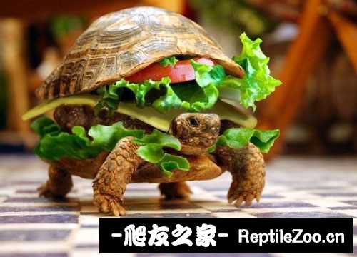 141931l8i1u0lnp8pbi0wm.jpg