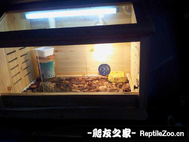 142031crbl2buevzr9tort.jpg
