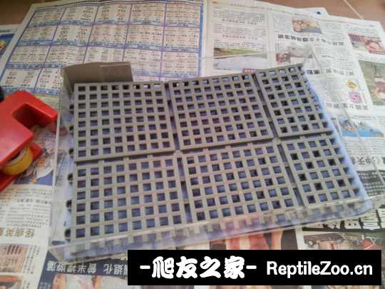 142037v6u688frlmnbbn8n.jpg