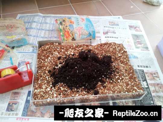 142038x1jsp9yqbqpyp1lp.jpg