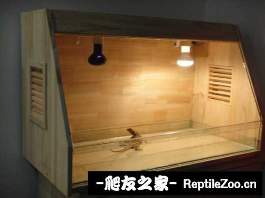 143537lommlvm8qcovvmr8.jpg