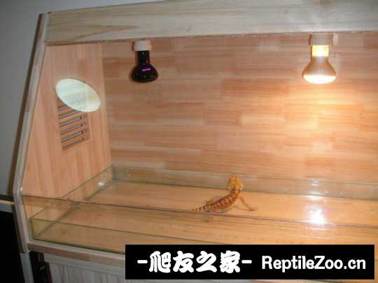 143537pyonyyyp1yyejy2y.jpg