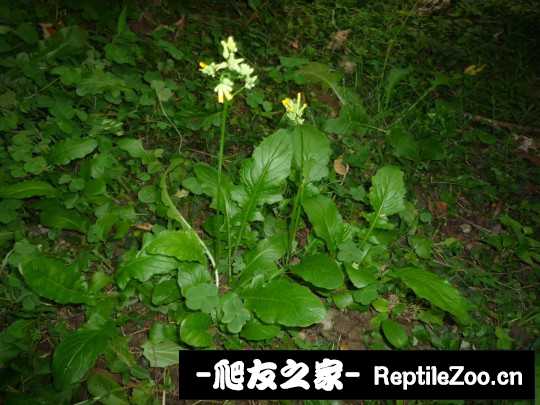 143655lc9ntvzn33crx3tm.jpg