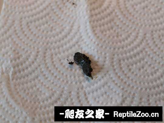 143714nyk3rakj3rsd33ls.jpg