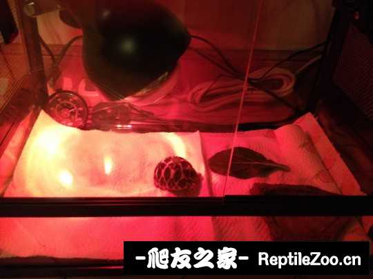 143729lfjybjxzxddhkyby.jpg