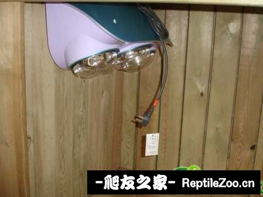 143935svpq9ceop4cwe564.jpg