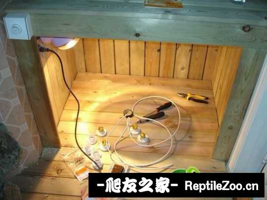 143936u2gw69ymdmk36266.jpg