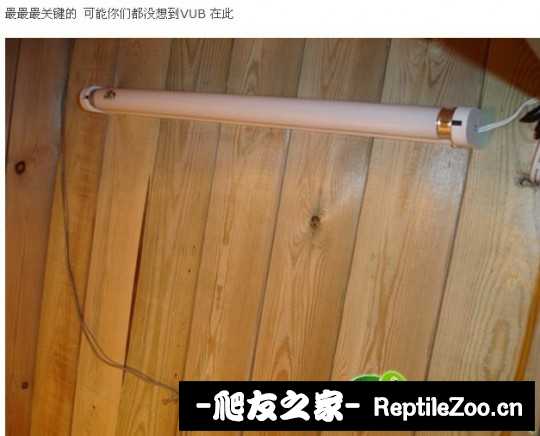 143937xezi8o05u6wii011.jpg
