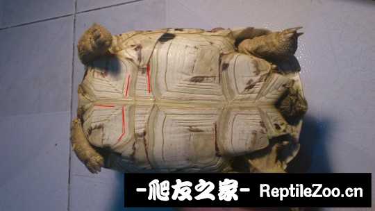 144024n872etj7c6iczty9.jpg