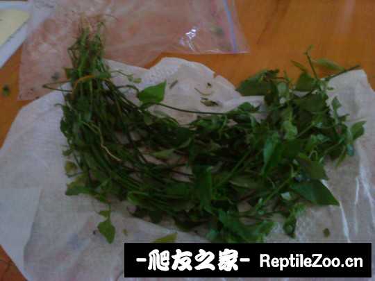 144154ywawajp5gao6a6gw.jpg