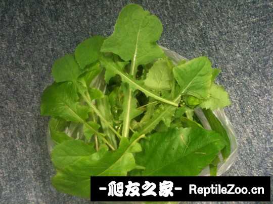 144207l3rwcwflifel87qy.jpg