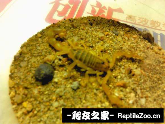 display_picture.php?url=http%3A%2F%2Fimgsa.baidu.com%2Fforum%2Fw%253D580%2Fsign%3Dabfc21a35882b2b7a79f39cc01accb0a%2F8f736ed9f2d3572c1b67257b8b13632763d0c336.jpg