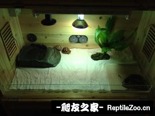 144410amklmfmj9pyl6xwz.jpg