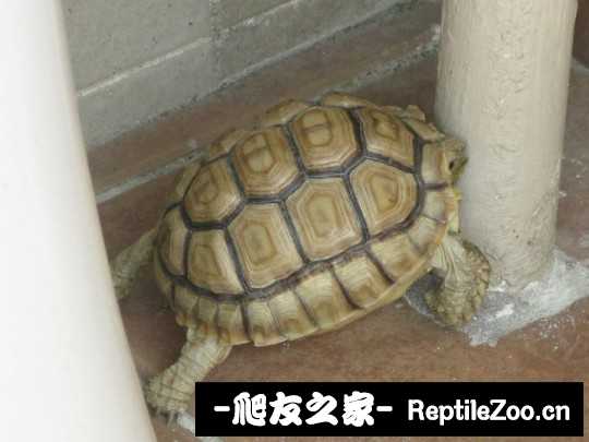 144439zwvvzip4kw4p0kyj.jpg