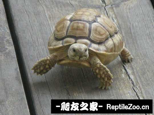 144440af9jzvfk05d96p0n.jpg