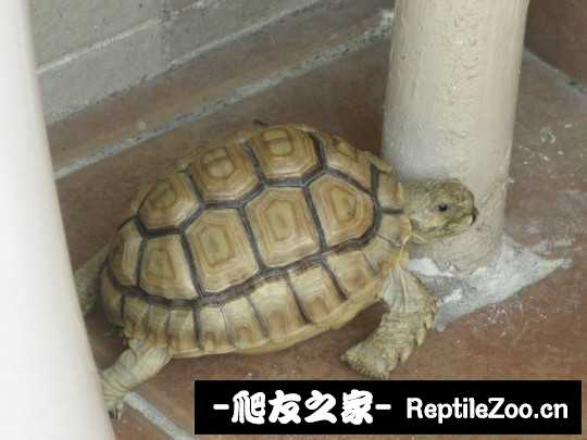 144440fofdsn24f24dfd22.jpg
