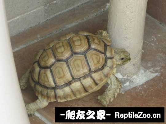 144440tuiwttqxtxoqt4xo.jpg