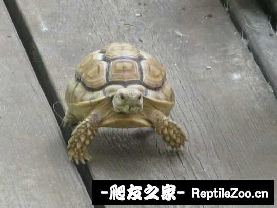 144441qkagfzf4gzwguvg8.jpg