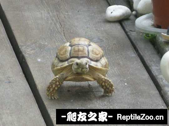 144442mzc733pgbh1hdnw6.jpg