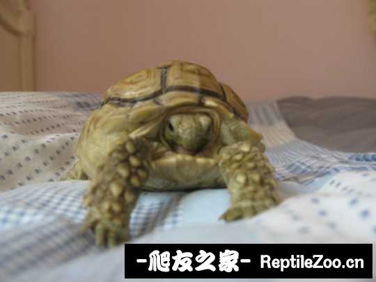 144443y8ezu8de5lhqbee7.jpg