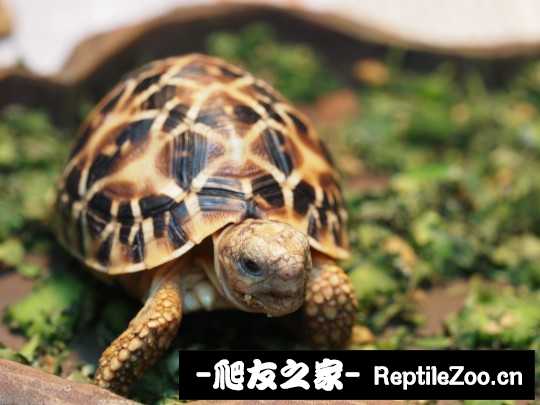 144514wabh1037zhhtyh0c.jpg