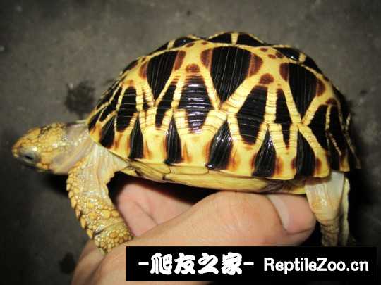 144521bawdjfl5dfsleo3f.jpg