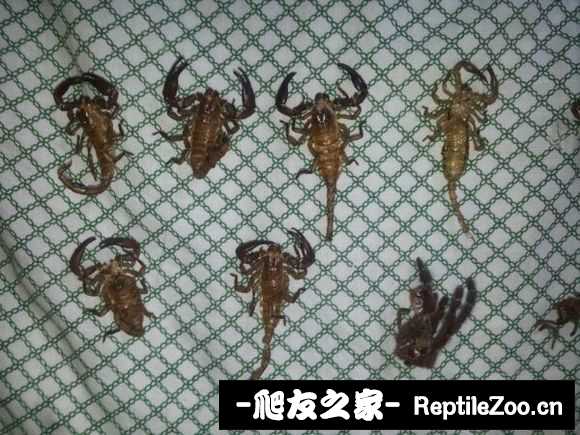 display_picture.php?url=http%3A%2F%2Fimgsa.baidu.com%2Fforum%2Fw%253D580%2Fsign%3D473f5b54bb014a90813e46b599763971%2F546aab86c9177f3e3e2118eb72cf3bc79e3d5665.jpg