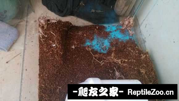 display_picture.php?url=http%3A%2F%2Fimgsa.baidu.com%2Fforum%2Fw%253D580%2Fsign%3D4b8fb20bb0fb43161a1f7a7210a64642%2F28e9dd1373f082022c4d43ff49fbfbeda9641bb1.jpg