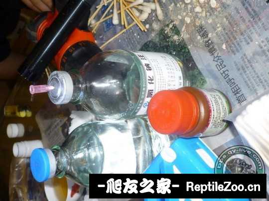 144743ouepzpmv5i9meu9m.jpg