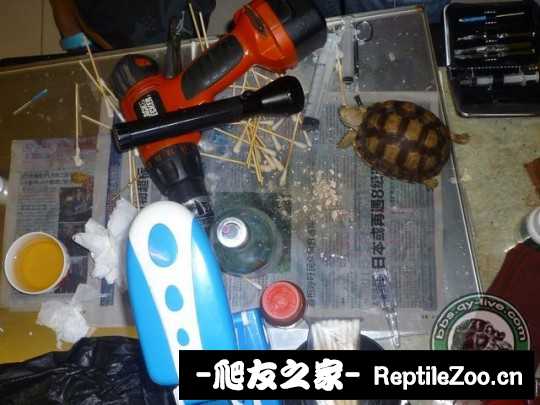 144744bymyr11bcxp5b2tc.jpg