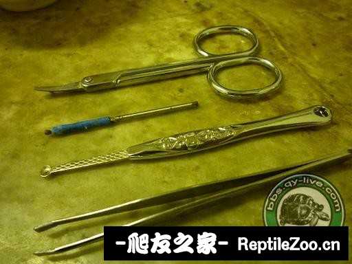 144744tgpjlwf4gf73x4f5.jpg