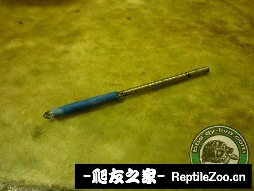 144745dsitr1prpsrpidc6.jpg