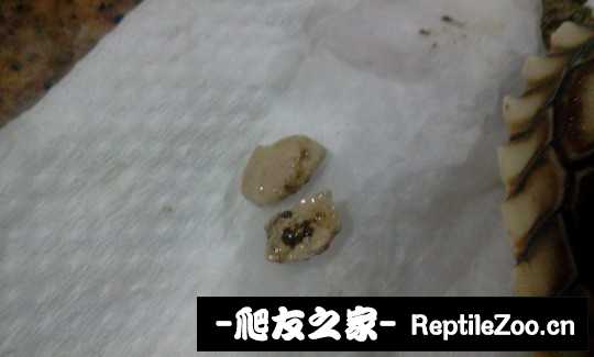 144931xqufpf7mmqxxqqf7.jpg