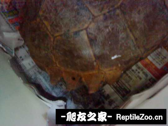 145104gsqoub2u2y4loesj.jpg