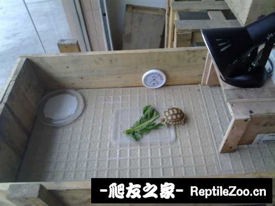 150009nlmljmfofzk3k6d3.jpg