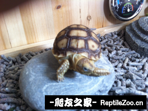 150024a7x3kaugnnukuk8f.png