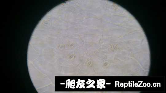 150140izzkqqi4lrllyyi2.jpg