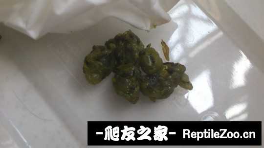 150140j1nnmznc7m21k41j.jpg