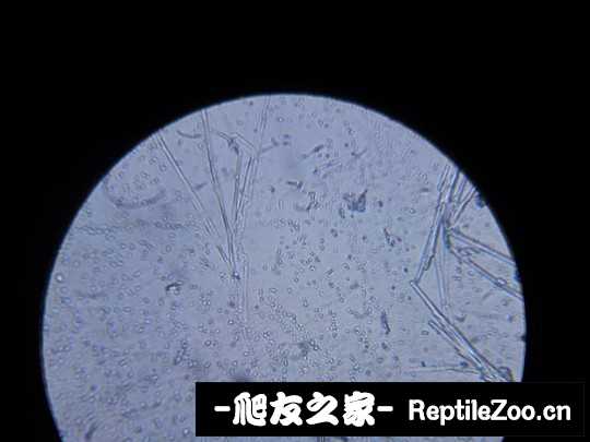 150140o2dmqsmd88447hq7.jpg