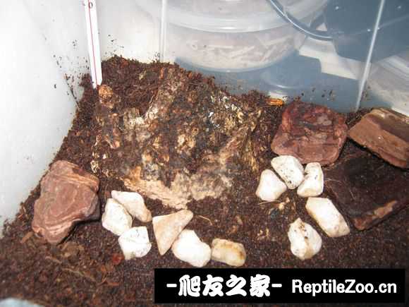 display_picture.php?url=http%3A%2F%2Fimgsa.baidu.com%2Fforum%2Fw%253D580%2Fsign%3Da907374a36d3d539c13d0fcb0a86e927%2Fcf4f22738bd4b31ce7ec830f87d6277f9c2ff8d0.jpg