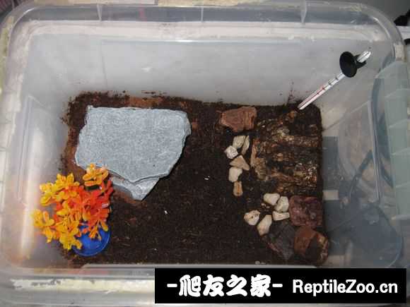 display_picture.php?url=http%3A%2F%2Fimgsa.baidu.com%2Fforum%2Fw%253D580%2Fsign%3Db1fda24f39dbb6fd255be52e3925aba6%2F2af3ffdeb48f8c5474c9d39b3a292df5e1fe7f8a.jpg