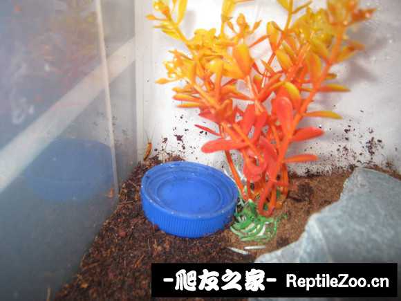 display_picture.php?url=http%3A%2F%2Fimgsa.baidu.com%2Fforum%2Fw%253D580%2Fsign%3Daf9a32bc5343fbf2c52ca62b807fca1e%2F82aa24381f30e924d15f8b854c086e061c95f729.jpg