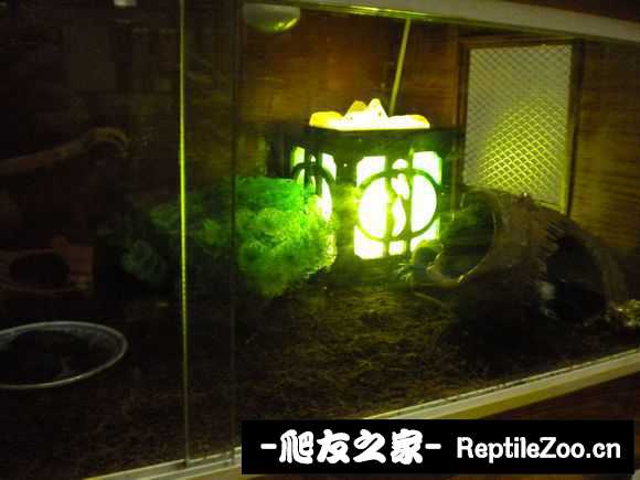 display_picture.php?url=http%3A%2F%2Fimgsa.baidu.com%2Fforum%2Fw%253D580%2Fsign%3D98ace94d2f2eb938ec6d7afae56385fe%2Fe880434a20a44623c5bc4fce9822720e0df3d74f.jpg