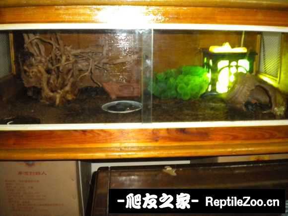 display_picture.php?url=http%3A%2F%2Fimgsa.baidu.com%2Fforum%2Fw%253D580%2Fsign%3D2edac449ad6eddc426e7b4f309dab6a2%2F224dc21b9d16fdfa8f7f2c42b48f8c5495ee7ba9.jpg