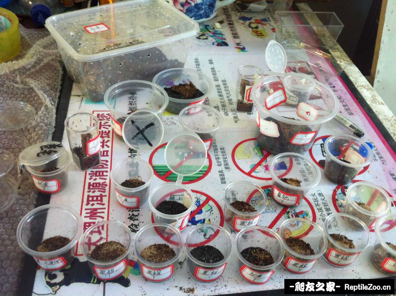 display_picture.php?url=http%3A%2F%2Fimgsa.baidu.com%2Fzhangbai%2Fpic%2Fitem%2F0b46f21fbe096b639a05b1d50c338744ebf8ac13.jpg
