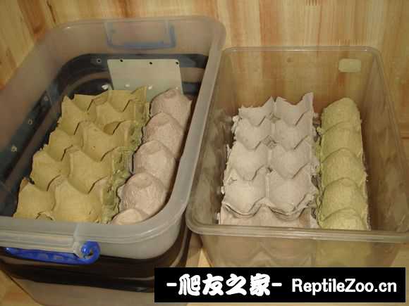 display_picture.php?url=http%3A%2F%2Fimgsa.baidu.com%2Fforum%2Fw%253D580%2Fsign%3D519bb29809f79052ef1f47363cf2d738%2Fce59f7edab64034f09cf038dafc379310b551d59.jpg